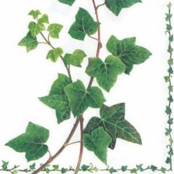 Χαρτοπετσέτα για Decoupage Ivy Tendril, 1 τεμ